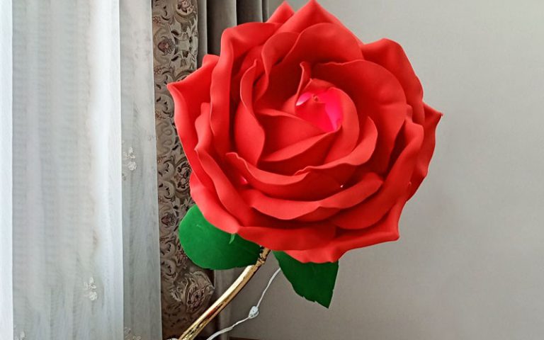 گل رز فومی